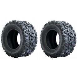 COPPIA GOMME 18 X 9.5 -8" POLLICI