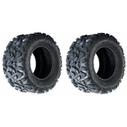 COPPIA GOMME 19 X 7.00 -8" POLLICI