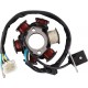 Statore Mini Quad 6 Bobine