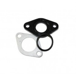 Guarnizioni carburatore Mini Quad 4T
