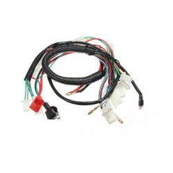 BLOCCO FRENO POSTERIORE MINI QUAD 4T
